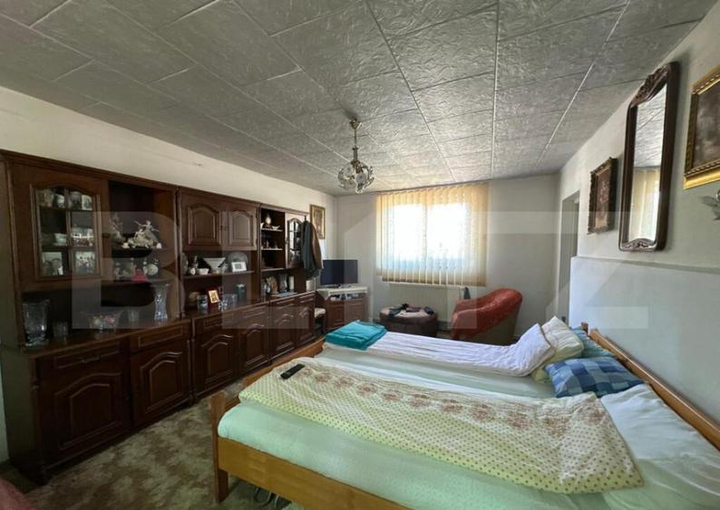 Casa saseasca de vanzare, curte, gradina, teren 3000 mp - Ji - 6