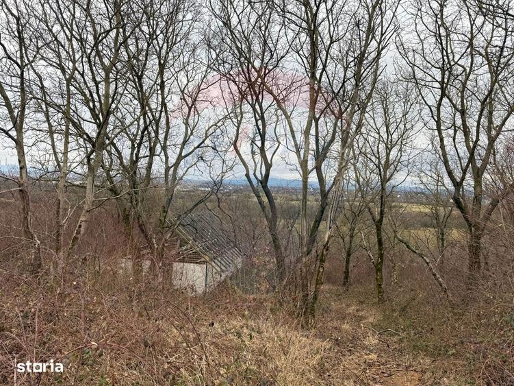 DE VANZARE Teren Strada Victoriei Baia Mare - 4