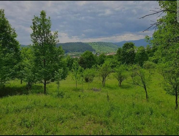 TEREN DE VANZARE PENTRU INVESTITII IN MANASTIREA CASIN - 1