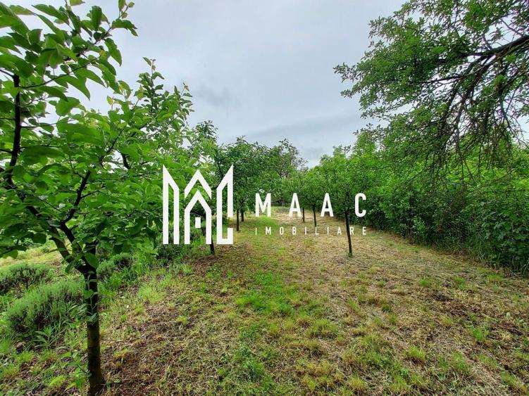 Casa | 1331 mp Teren | Miercurea Sibiului | - 11