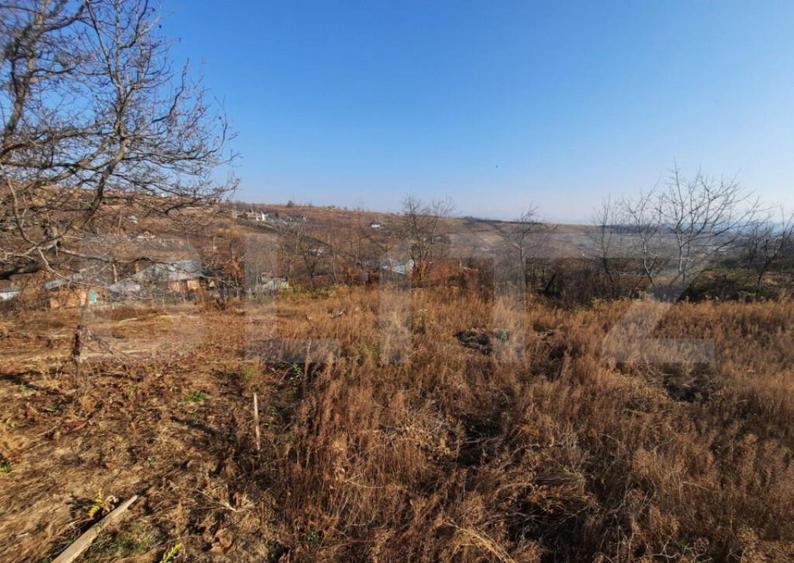 Teren 4990 mp intravilan, Tomesti- Chicerea - 1