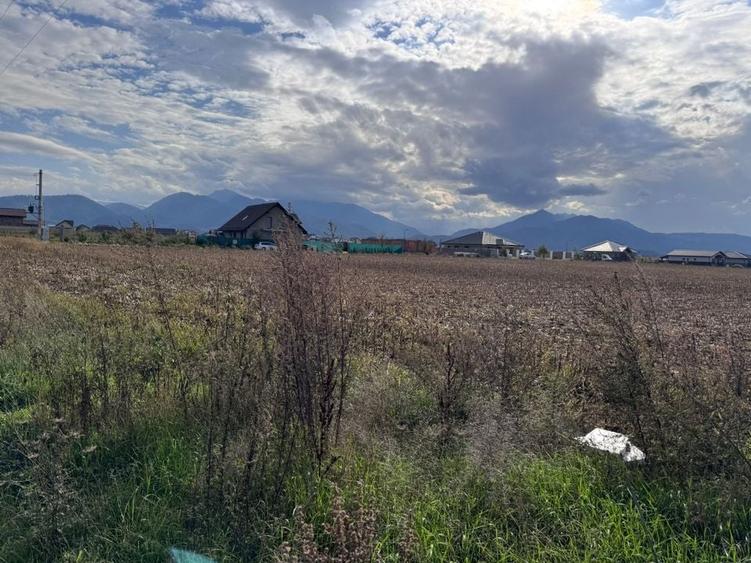 Teren dezvoltare rezidentiala Tarlungeni - zona Izvor - 3