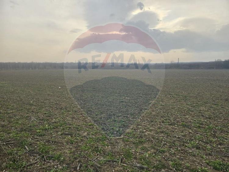 Teren intravilan 9911mp de vanzare, Beresti-Bistrita/ E85 - 4