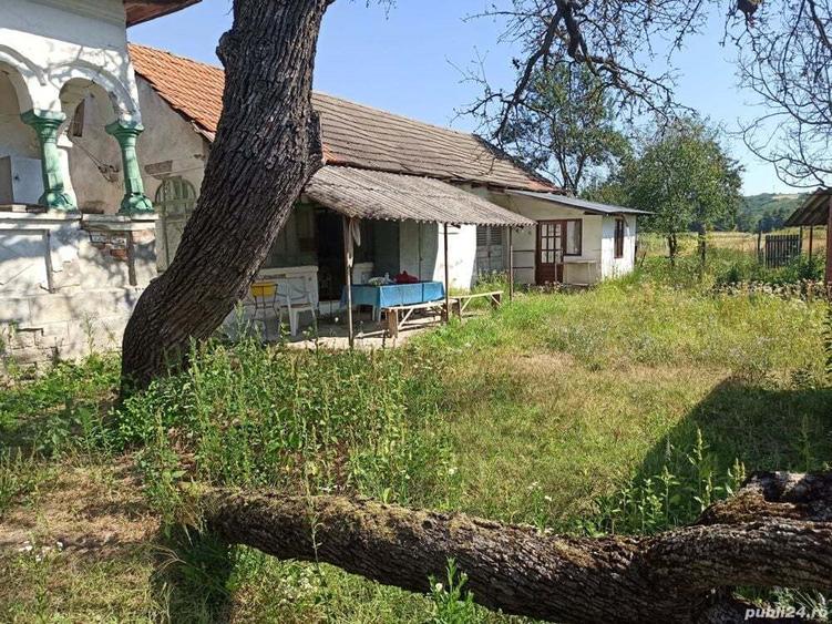 Vanzare casa la tara - 3