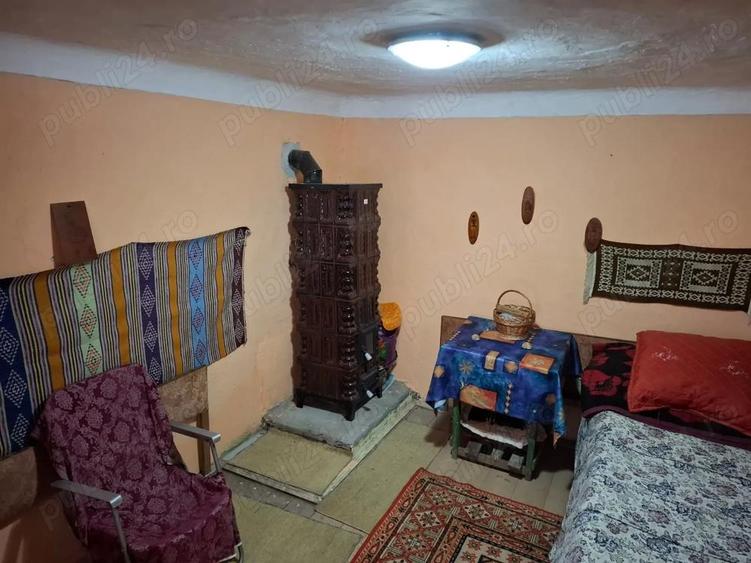 Casa la curte Lalosu, Portaresti VL - 11