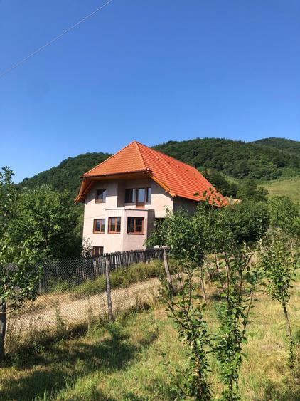 Casa de vanzare in zona de munte - 1