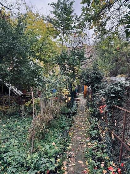 AV664 Apartament 1 camera, Iosefin vis-a-vis de Piata Iosefin - 4