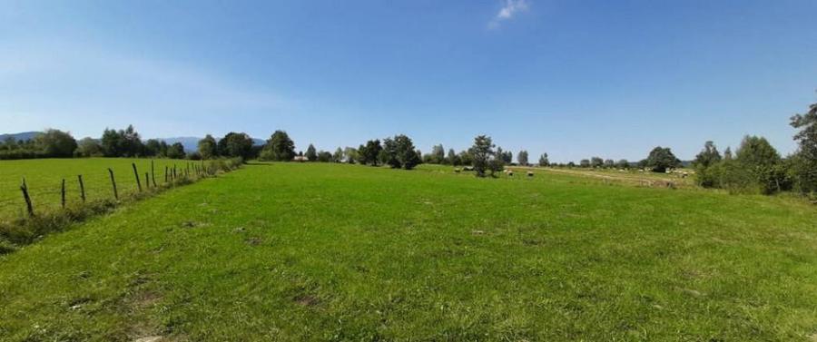 Teren 9350 mp Bran Livada, Extravilan - 5