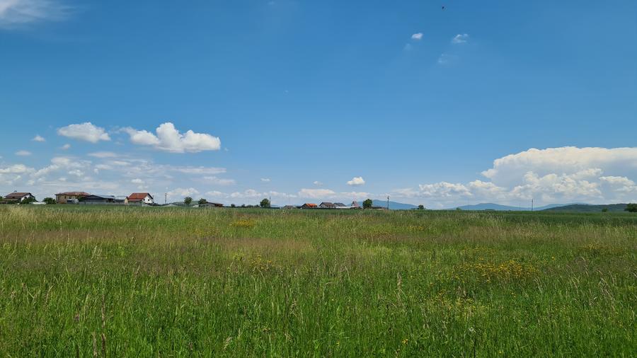 TEREN INTRAVILAN  BOD - 1200 mp pentru constructii case Sp+P+E+M - 7