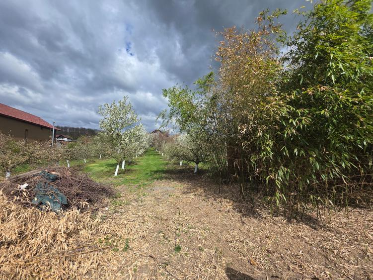 Vand teren intravilan loc.Barsau Hunedoara - 3