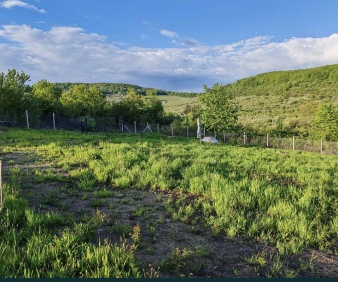 Teren extravilan 10 arii (1000 mp) Bistrita , Dealul Targului - 5