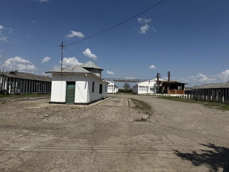 Ferma-Baza- depozit cereale- de vanzare- Barlad- Banca - Vaslui - 8