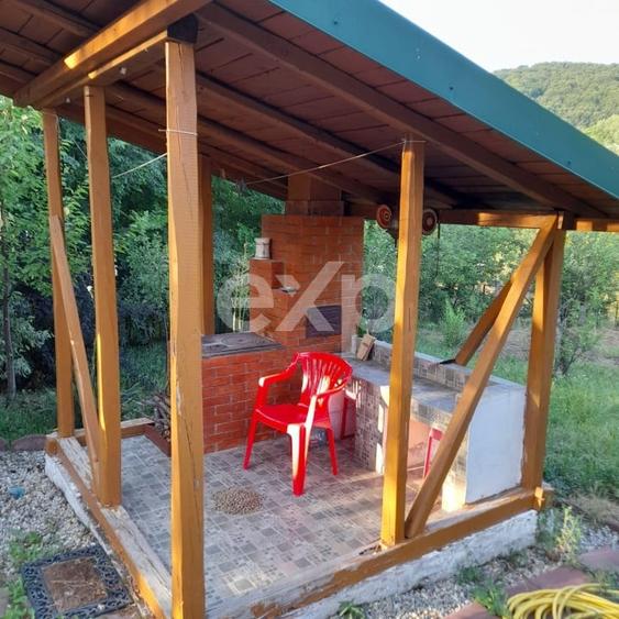 Casă la țară complet mobilată, 5.500 mp teren – Toplița, Mălureni, Argeș - 10