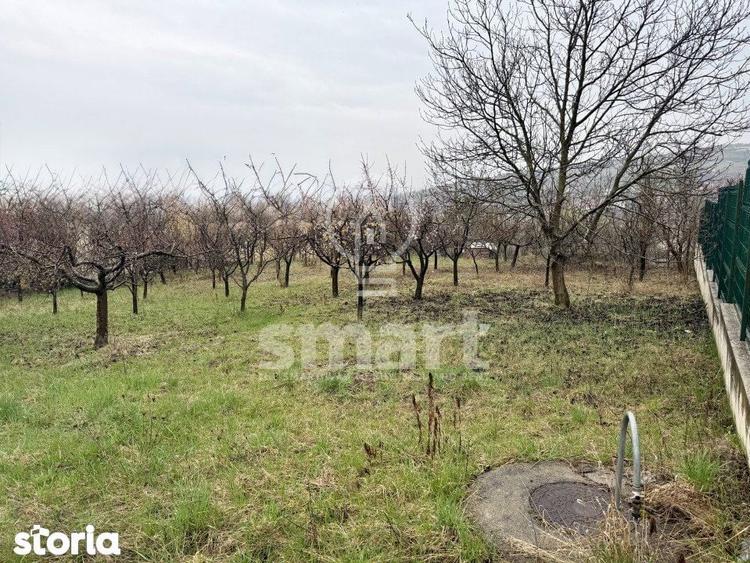 Teren construibil 800mp Borhanci zona Romul Ladea - 2