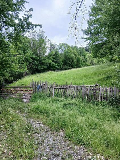 Vand Teren (Valea Doftanei) - 3