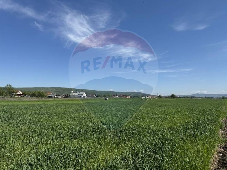 Teren de vanzare 8.700 mp in Livada comuna Iclod - 17