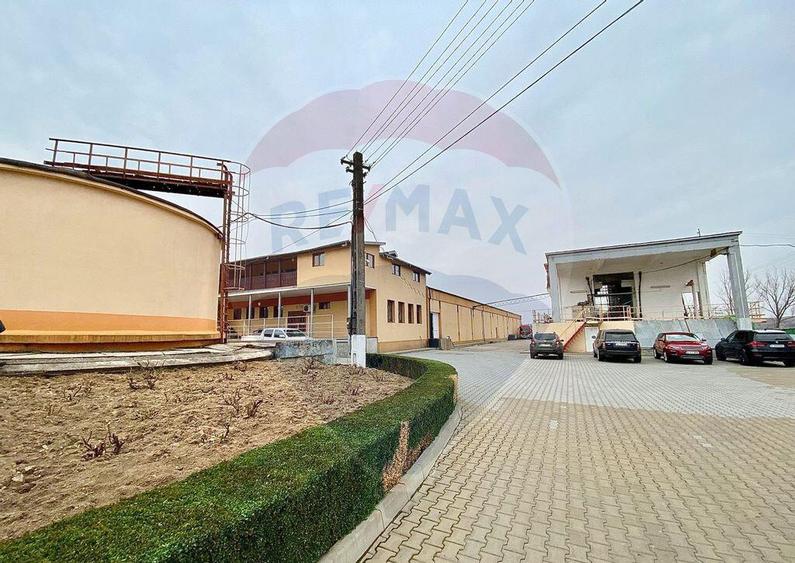 Crama din Buciumeni Afacere la cheie - 21