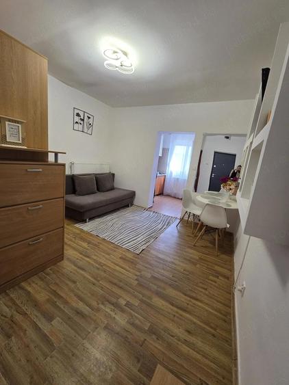 Proprietar vand garsoniera 24 mp utili (15 mp in CF), Timisoara Str. Polona 2, pozitie excelenta - 7