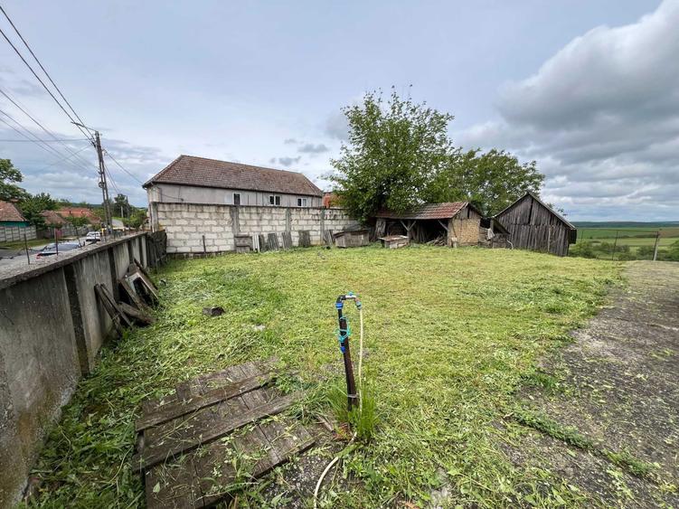 Vand casa in Tasad cu teren de 5793mp la asfalt, front stradal de 30m - 7