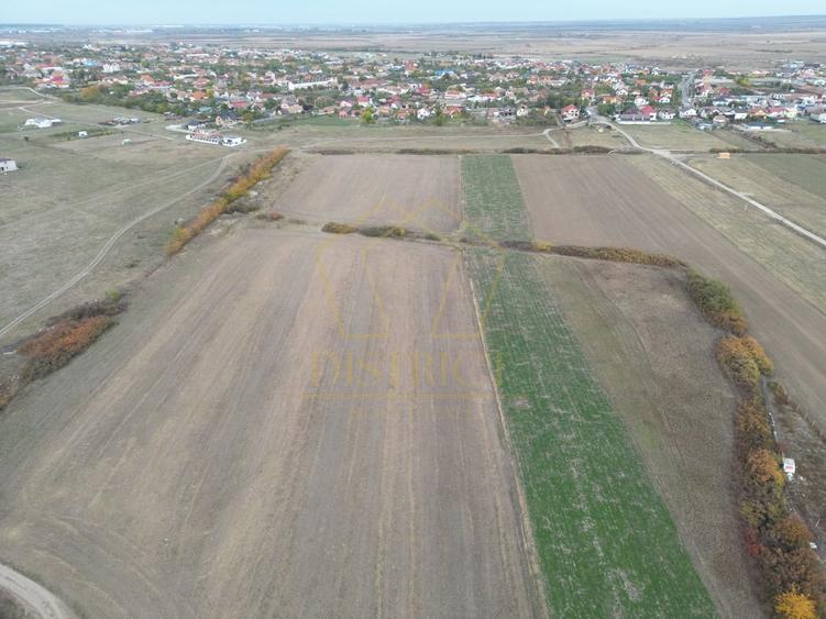 Teren arabil Intravilan 11600mp | LmP | Remetea Mare | COM 0% - 3