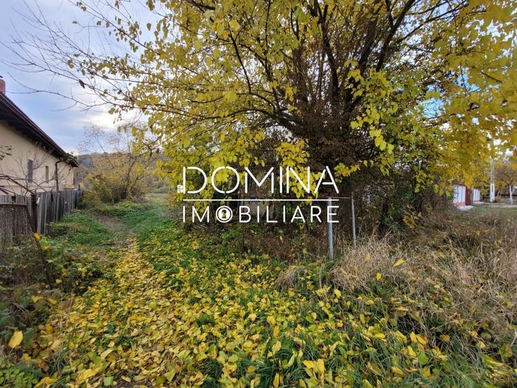 Vanzare teren intravilan, 4967  mp, utilitati, sat Rasova, Balesti - 4