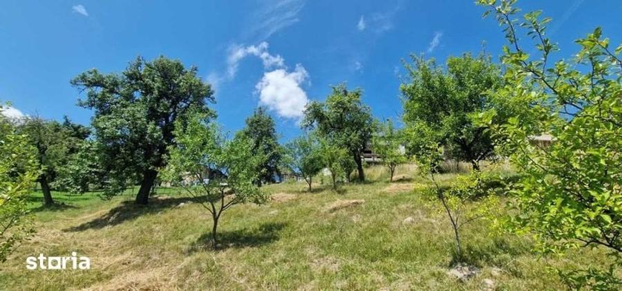 Teren de 1575 mp, în Feleacu