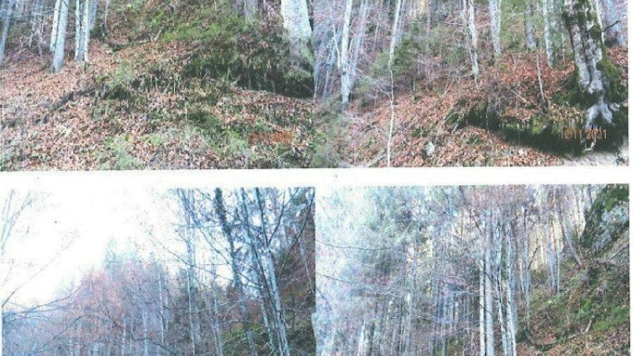 Teren extravilan - 38.800mp, Rastolita - 2