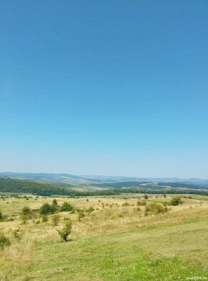 Teren în Chinteni