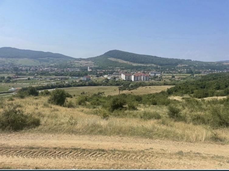 Spațiu comercial, în Viișoara