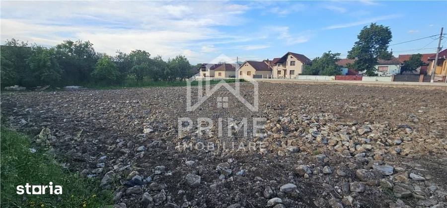 Teren de 2450 mp, în Sălciua