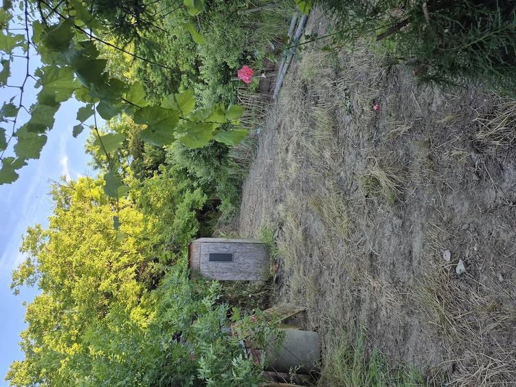 Teren de 450 mp, în Tătărași