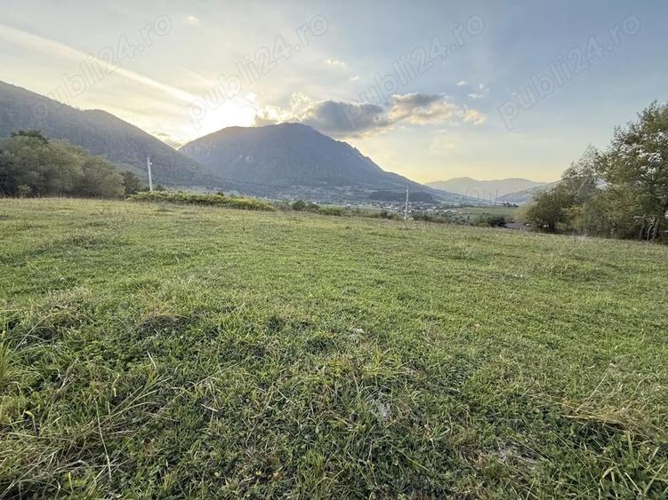 Teren intravilan 500 sau 1000 mp Bran-Tohanita la dum asfaltat - 3