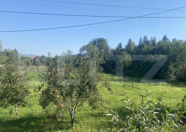 Teren in Doroteia, Plutoni?a, 3880 mp, intravilan - 4