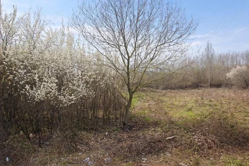 Teren intravilan, 1080 mp, Lipova - 2