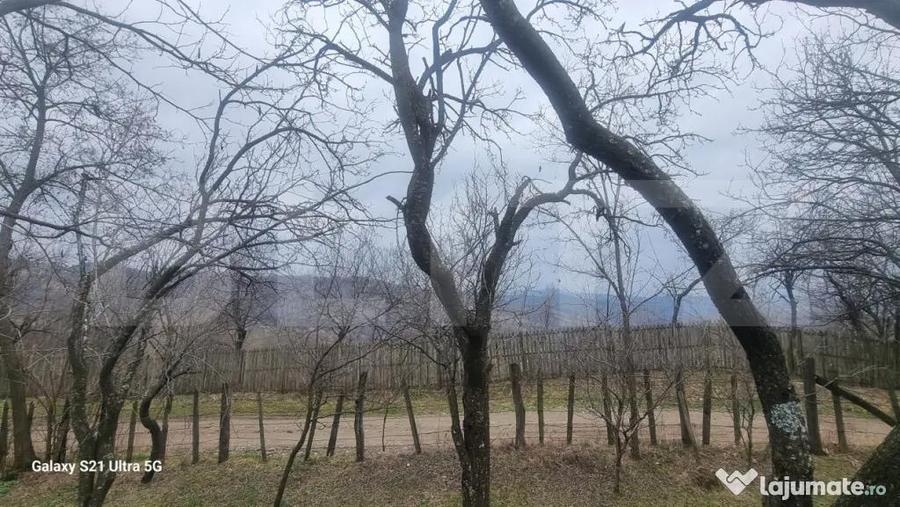 TEREN INTRAVILAN VEDERE PANORAMICA La 2 km de Manastirea CRA - 9