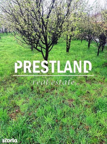 Teren constructie casa de vacanta !! - 2