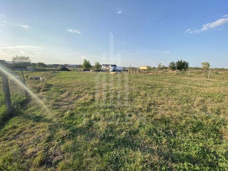 Teren intravilan 604 mp de vanzare ?ura Mica, Sibiu - 13