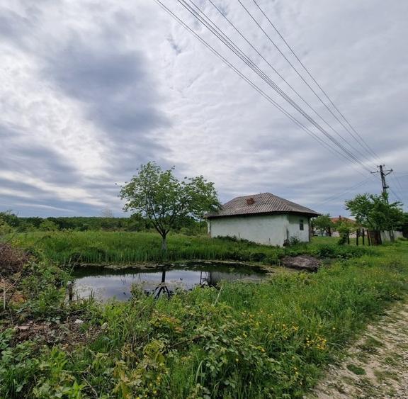 Mosoaia - casuta - Padurea Trivale - Teren intravilan - 11.275 mp/  4300 padure - 4