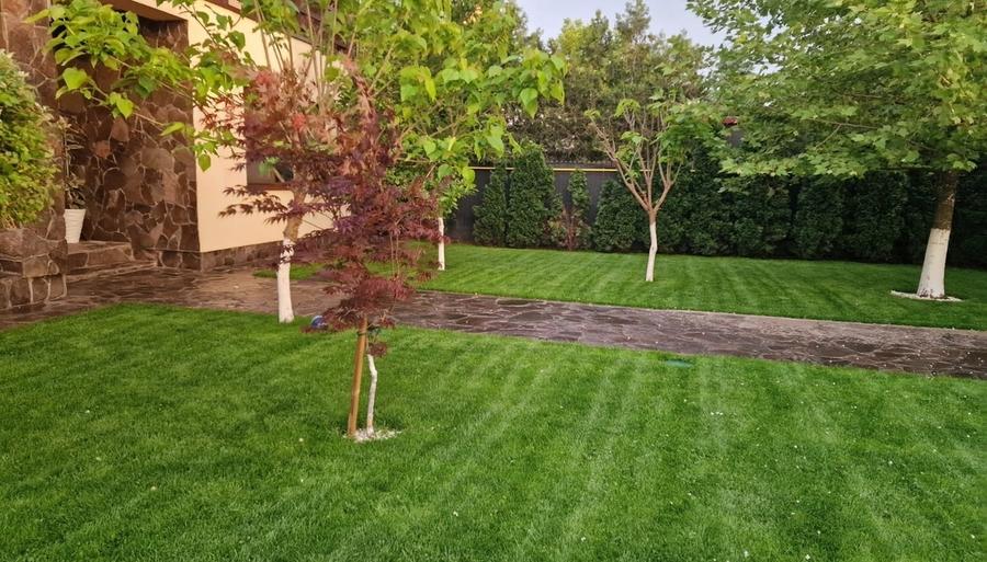 Fundulea, vila 185 mp cu teren 4000 mp, potential dezvoltare imobiliara - 3