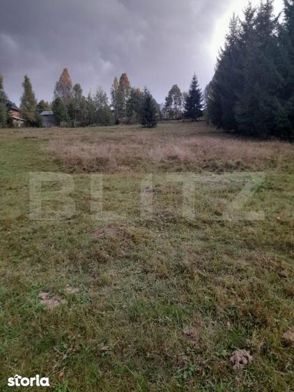 Teren intravilan de vanzare, 2280 mp, Vatra Dornei - 3