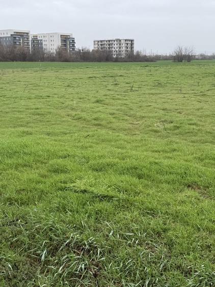 Schimb teren 3000 mp Ploiesti cu autoturism. - 4