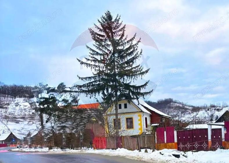 Casa in Mosna - curte 780mp - Zona centrala - 1