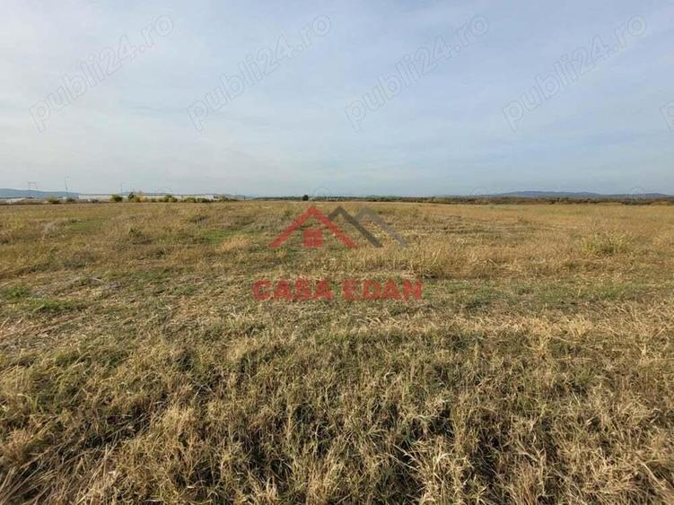 Teren intravilan in Baicoi zona targului--10.000mp--5e - 10