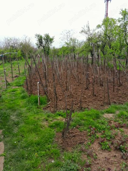 Casa vanzare Caracal 90m2 + teren 2110m2 - 10