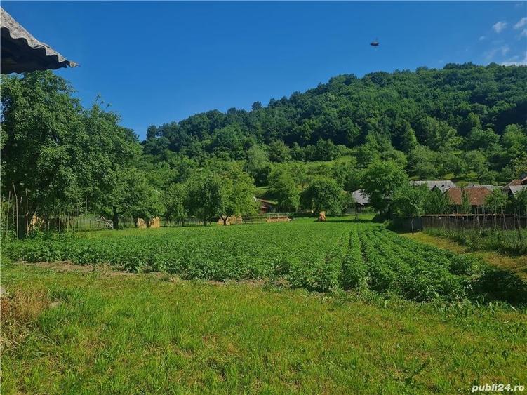 Casă în Săliște