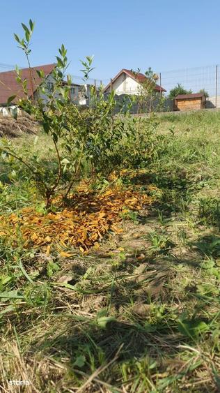 Teren intravilan, 738 mp, fs 16.5 ml, Sag - 2