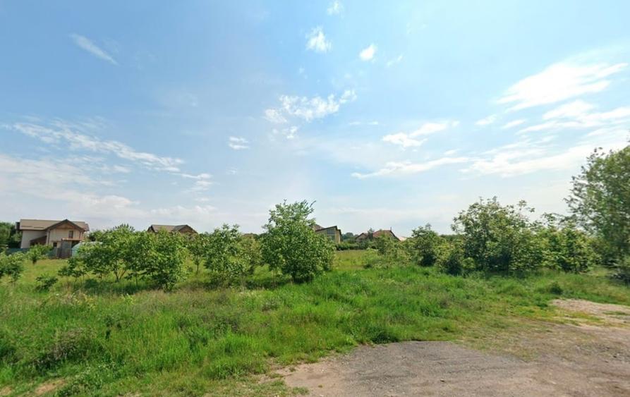 Teren intravilan 5.293 mp-deschidere 42m–Domnesti Ilfov, utilitati la limita - 3