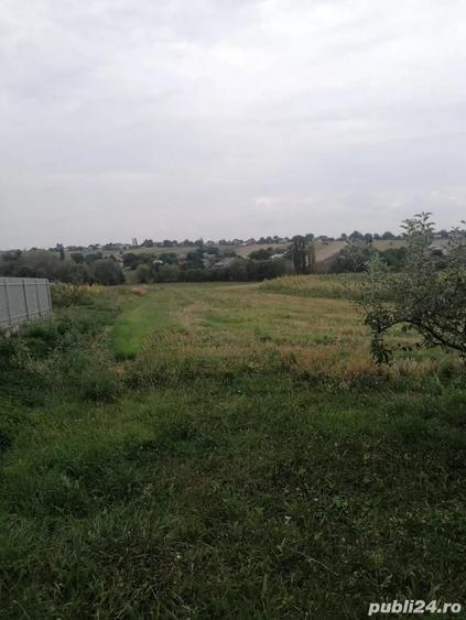 Casa de vanzare + teren 4700 m2 - 4