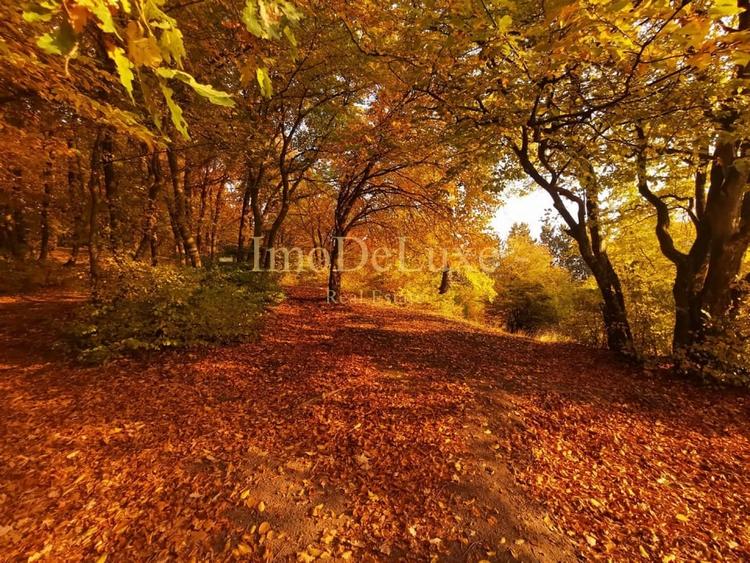 Teren intravilan in Valcele, 1604mp, front 22 ml, zona centrala - 4