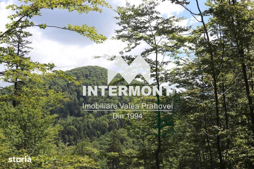 Teren Sinaia Zona Centrala, 500mp, Vedere Montana, Toate Utilitatile - 8